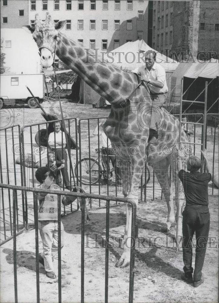 Press Photo Riding the Giraffe - Historic Images