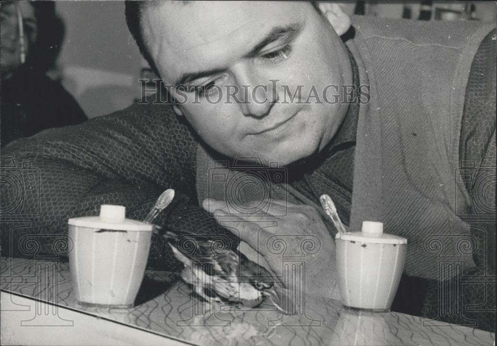 1961 Press Photo &quot;Philip, a trained sparrow - Historic Images