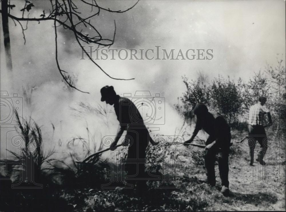 1965 Press Photo Huge forest fires in the Canton on Tessin, Switzerland - Historic Images