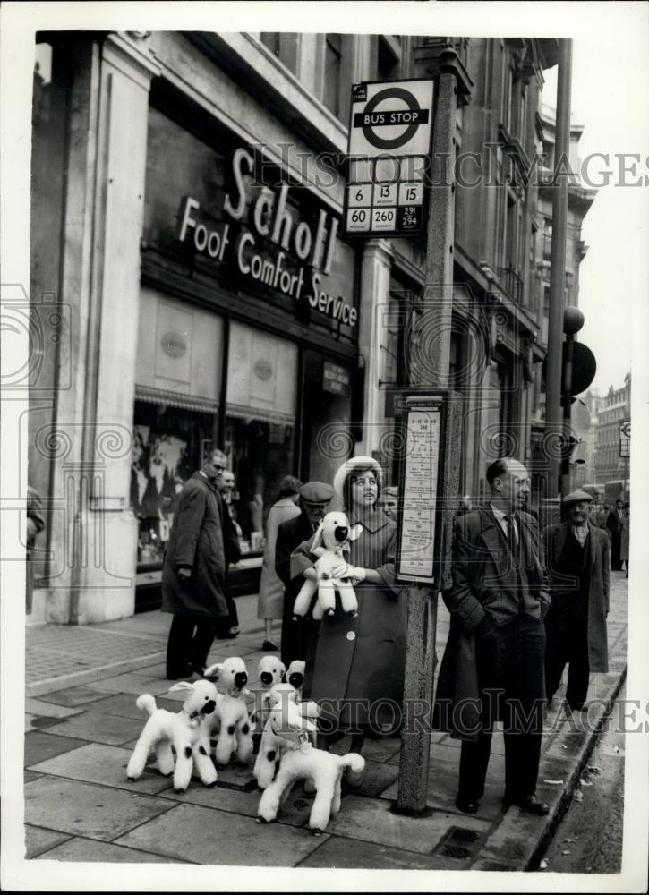 1956 Press Photo Brenda Bowls and a flock of toy lambs - Historic Images