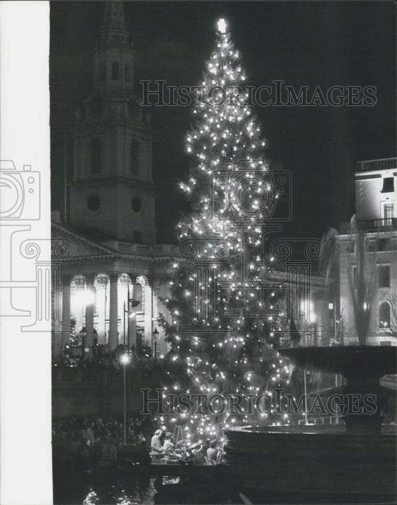 1979 Press Photo Norwegian Christmas Tree Lighting In Trafalgar Square - Historic Images