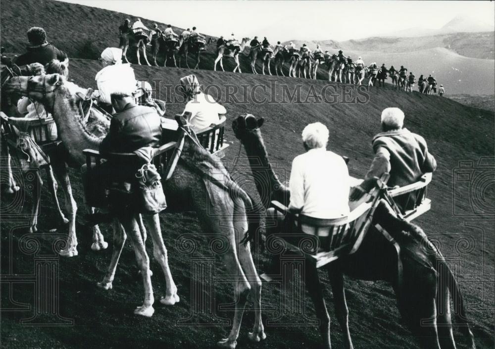 Press Photo Elderly Vacationers Riding Camels Canary Island Vacations - Historic Images