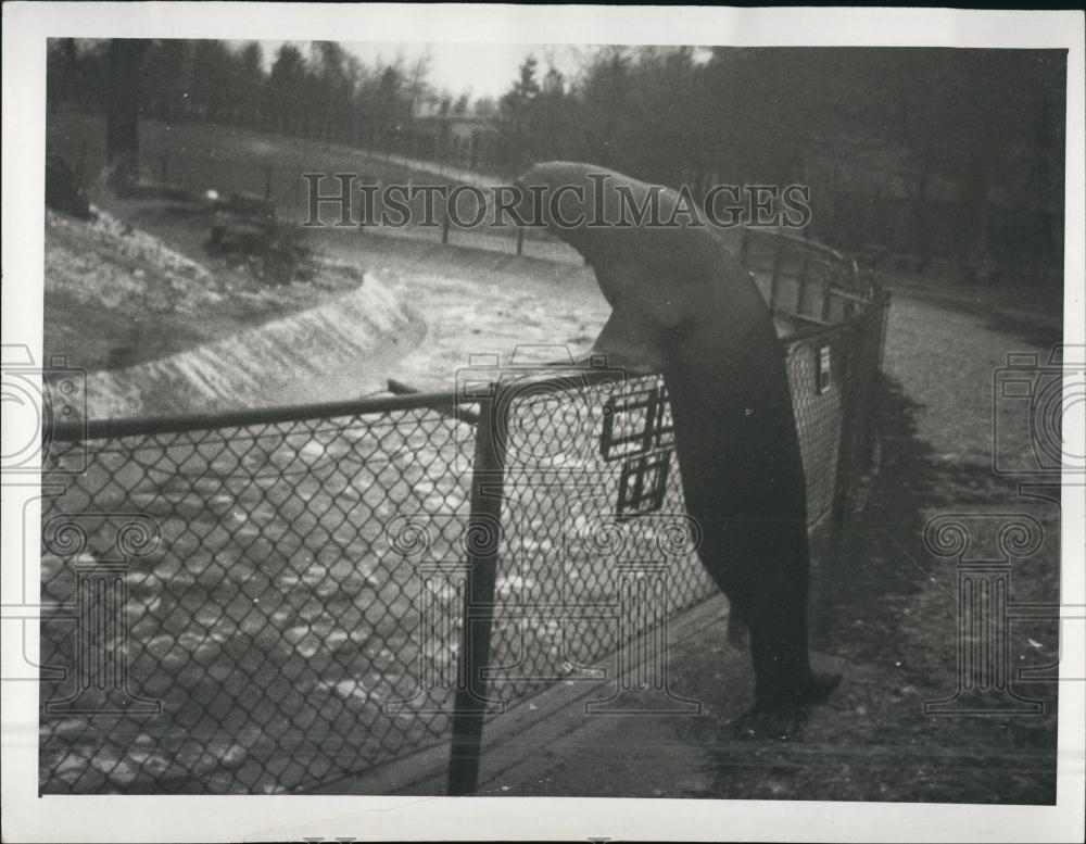 Press Photo Seal - Historic Images