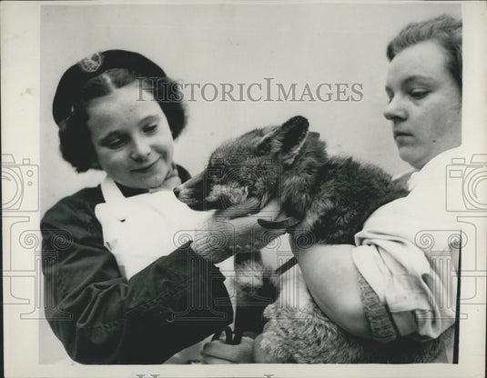 1952 Press Photo P.D.S.A. Sanatorium, St. Swithin's Farm - Historic Images