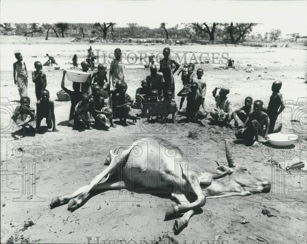 1973 Press Photo Drought Striken Area of West Mali - Historic Images