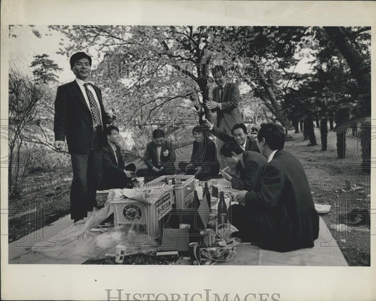 1980 Press Photo 1 Per yr Businessmen Outing Of Cherry Blossoms-Osaka Robe Area - Historic Images