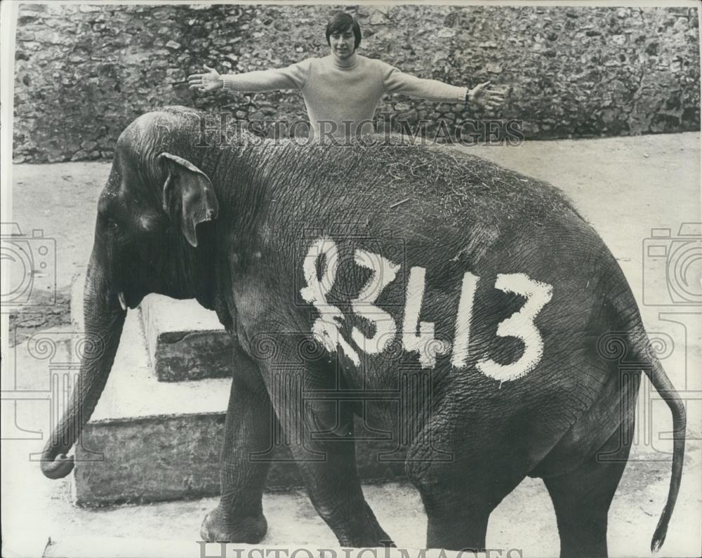 1978 Press Photo Hugh Taylor with Chiki the elephant Court Protest - Historic Images