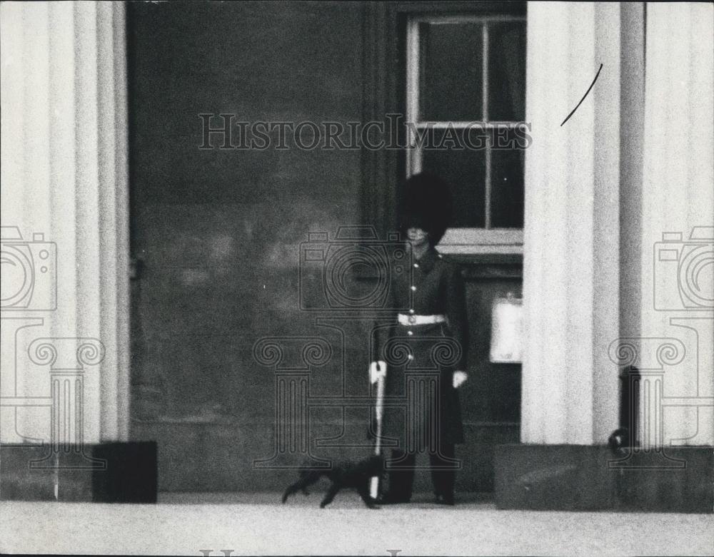 1968 Press Photo Prince Andrew Is Eight Black French Poodle Gate Crashes His Par - Historic Images