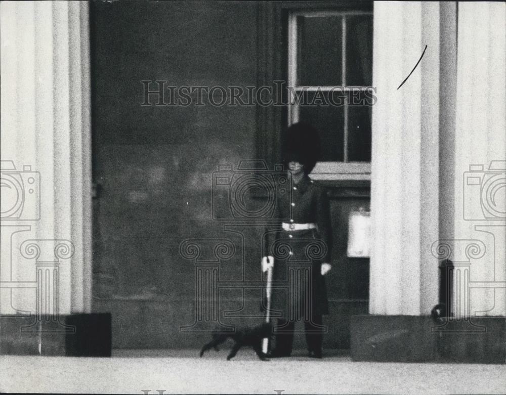 1968 Press Photo Prince Andrew Is Eight Black French Poodle Gate Crashes His Par - Historic Images