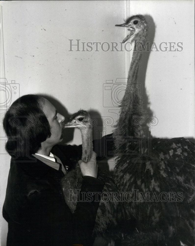 1981 Press Photo David stamps the head bird keeper mothering a ostrich - Historic Images