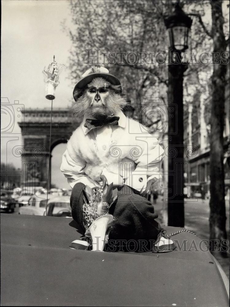 1964 Press Photo The Most unusual Lily of the Valley vendor - Historic Images