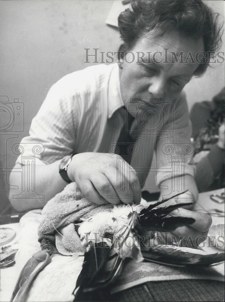 Press Photo Replacement Feathers And Needle Joined To Existing Tail - Historic Images