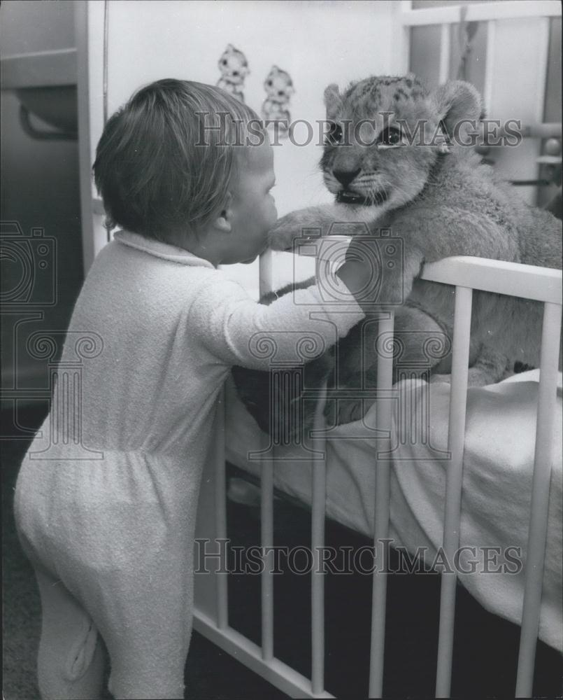 Press Photo A baby and a lion cub - Historic Images