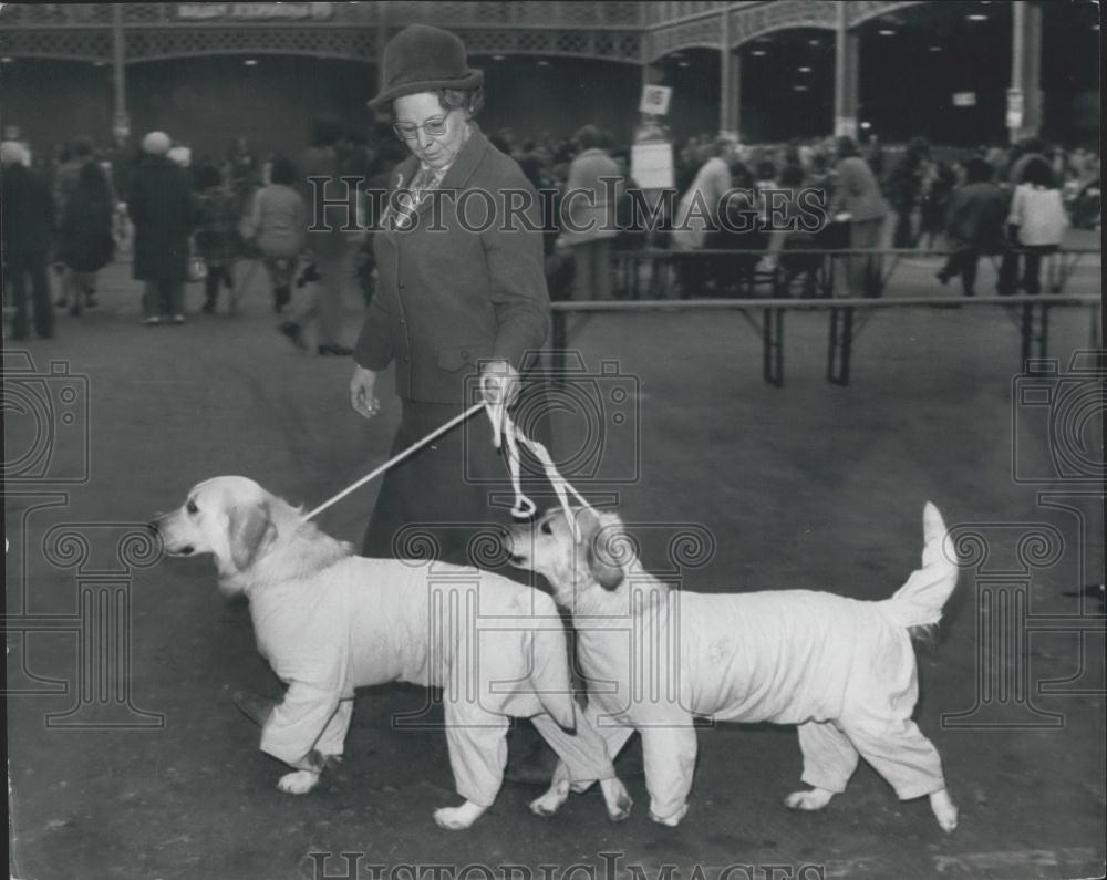 1974 Press Photo Ladies Kennel Association Dog Show, - Historic Images