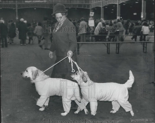 1974 Press Photo Ladies Kennel Association Dog Show, - Historic Images