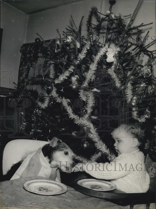 Press Photo Dog 'RIP' Invited to Nathalie's Christmas Party - Historic Images