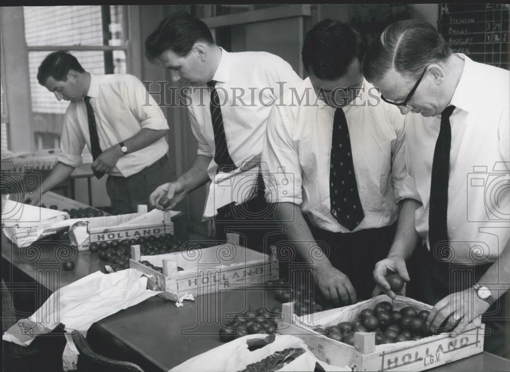 Press Photo Produce Inspectors, Dutch Tomatoes - Historic Images