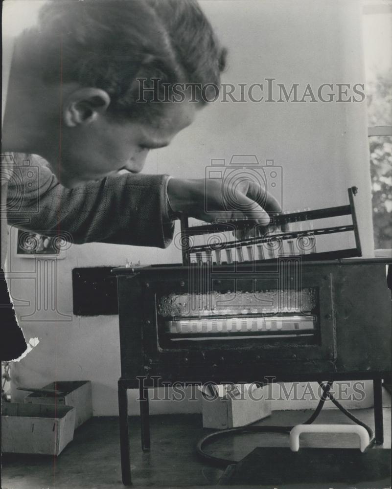 Press Photo Dr William Black Breeds Potatoes for the &quot;Perfect Potato&quot; - Historic Images