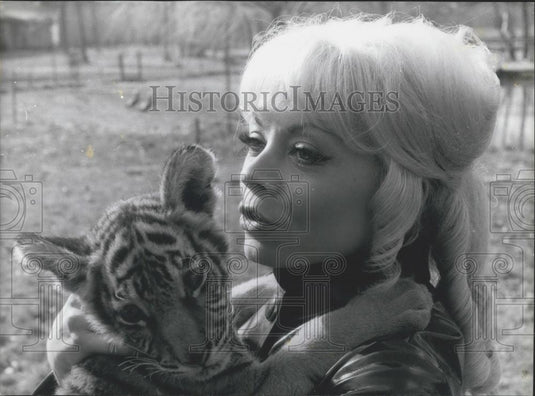 1968 Press Photo Isabelle Aubret and her Pet Tiger Cubs - Historic Images