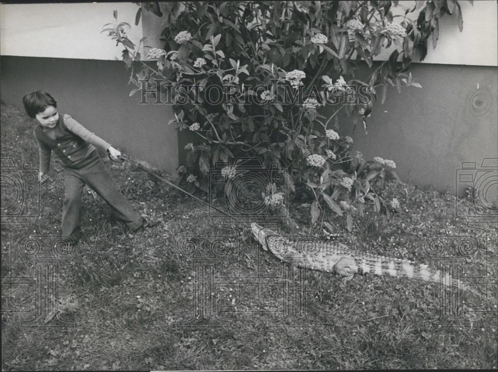 1975 Press Photo Girl Walking Her Pet Alligator in Zurich Switzerland - Historic Images