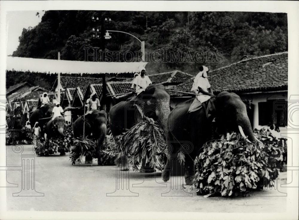 1954 Press Photo Royal Tour, elephants in procession to temple of the tooth - Historic Images