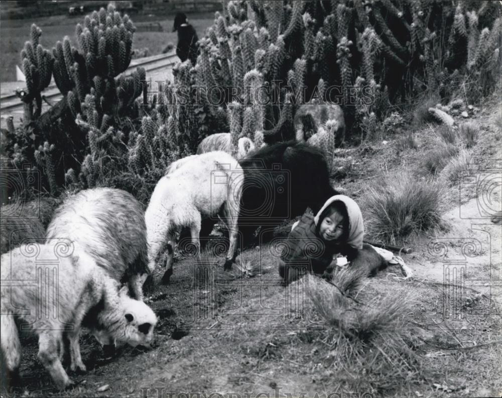 Press Photo Columbe, Chimborazo Province - Historic Images