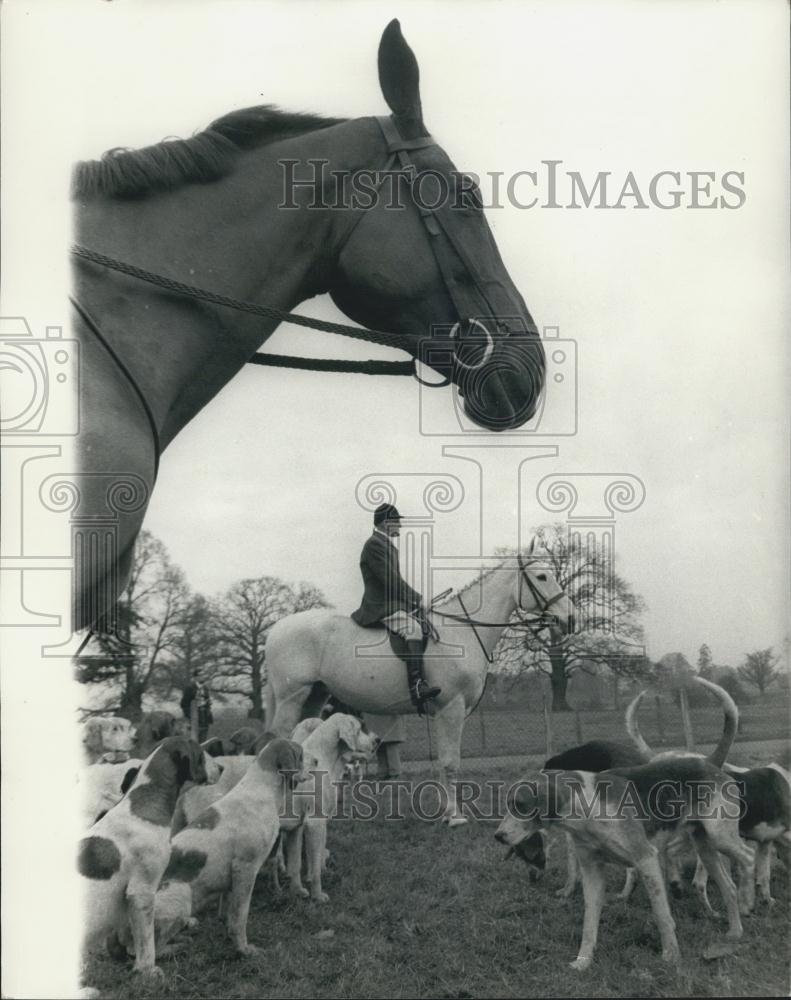 Press Photo Enfield Chace Foxhounds move off from Broxbourne School Herts - Historic Images