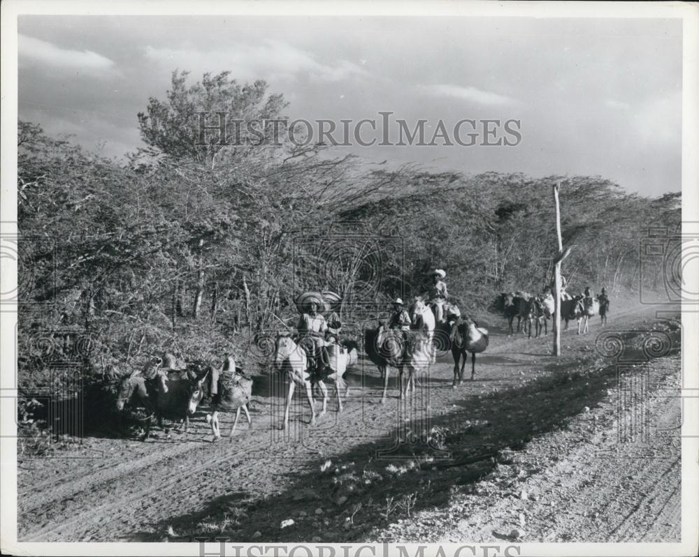 Press Photo Pack train - International Highway, Dajabon, Dominican Republic - Historic Images