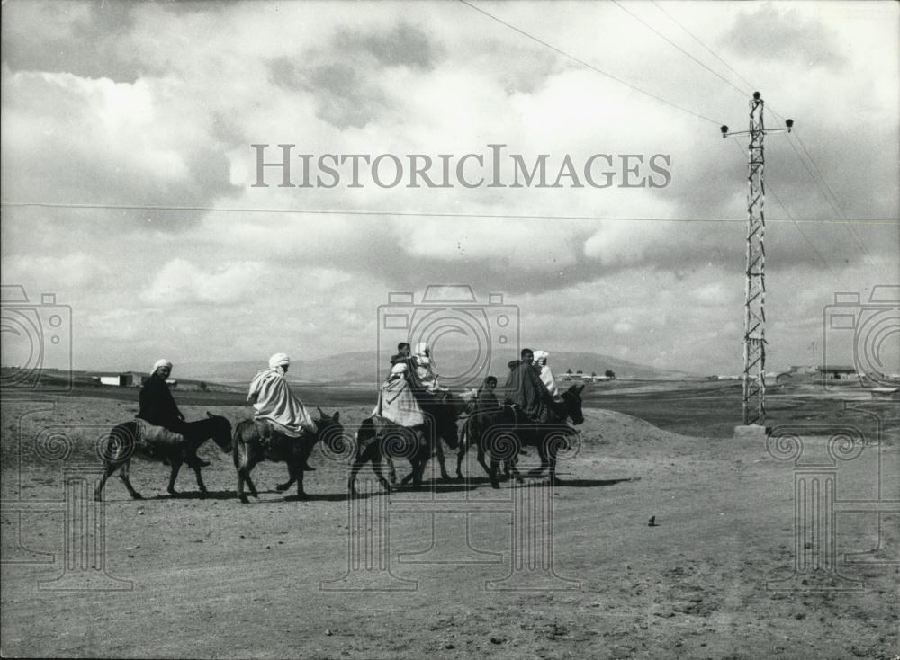 Press Photo Mule Train In Algeria - Historic Images