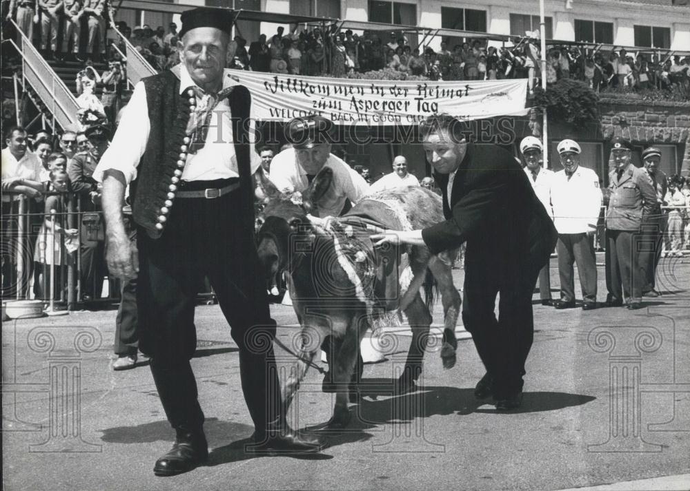 1961 Press Photo Donkey's Day Asperg Germany - Historic Images