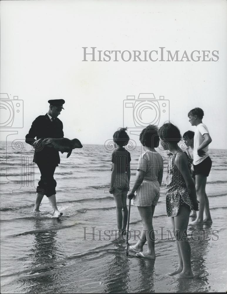 Press Photo Kids Watch Inspector Hutter From Ipawich With Resued Weal Babies - Historic Images