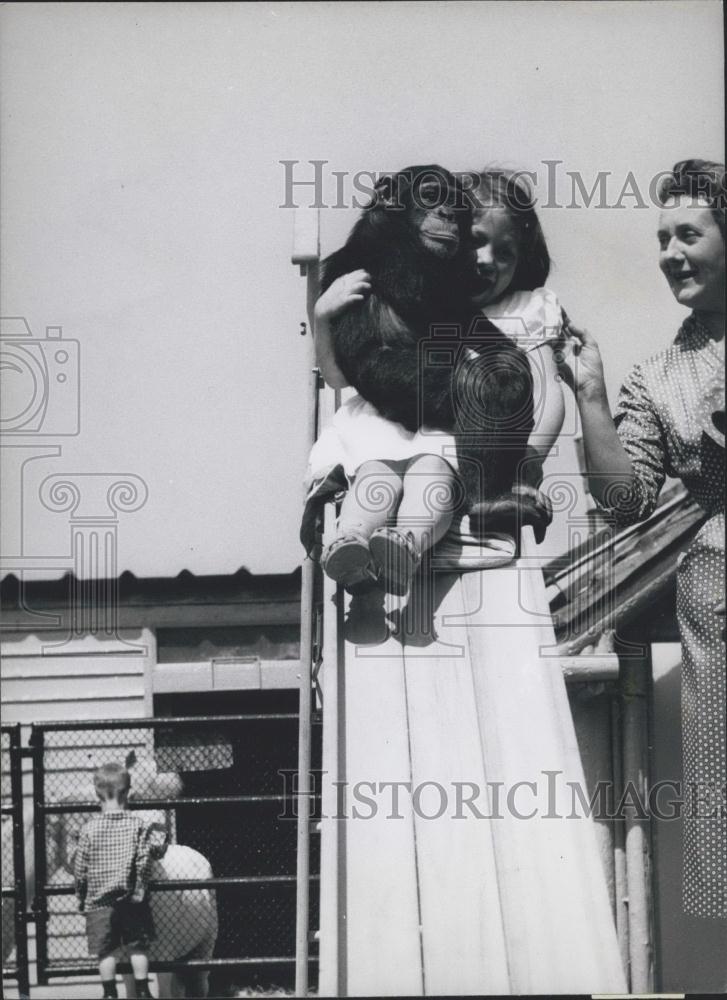 Press Photo Young Girl With Chimpanzee On Slide - Historic Images