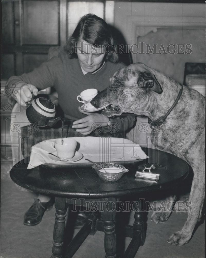 Press Photo Lady and a Great Dane - Historic Images