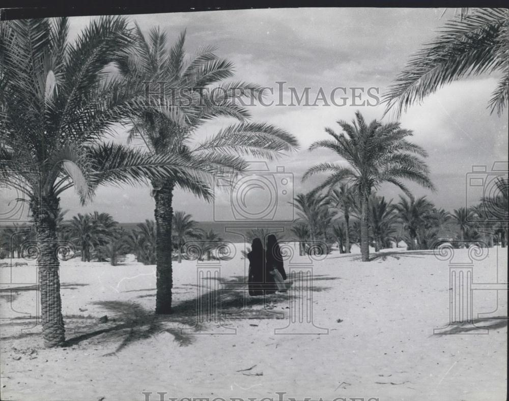 Press Photo Sahara Desert, Africa - Historic Images