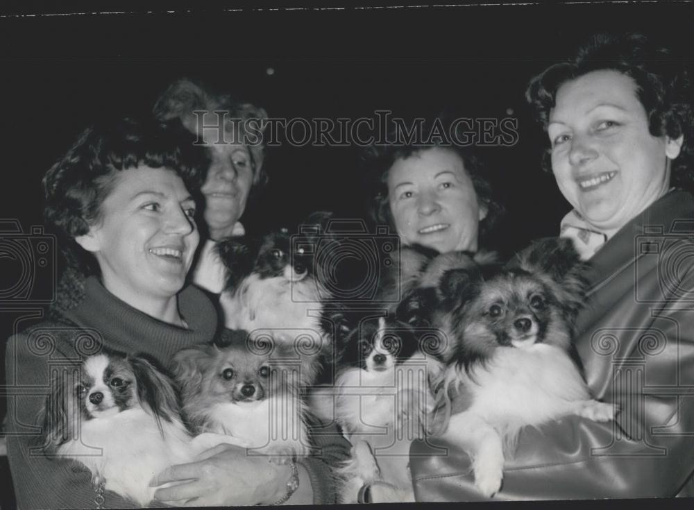 1963 Press Photo Man and woman and armful of puppies - Historic Images