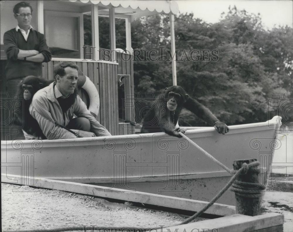 Press Photo Eddie the chimp in a boat - Historic Images