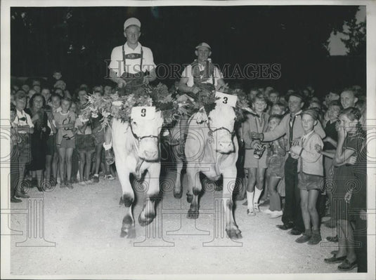 Press Photo Oxen-Racing Jockeys Anton Heilmeier Max Herder - Historic Images