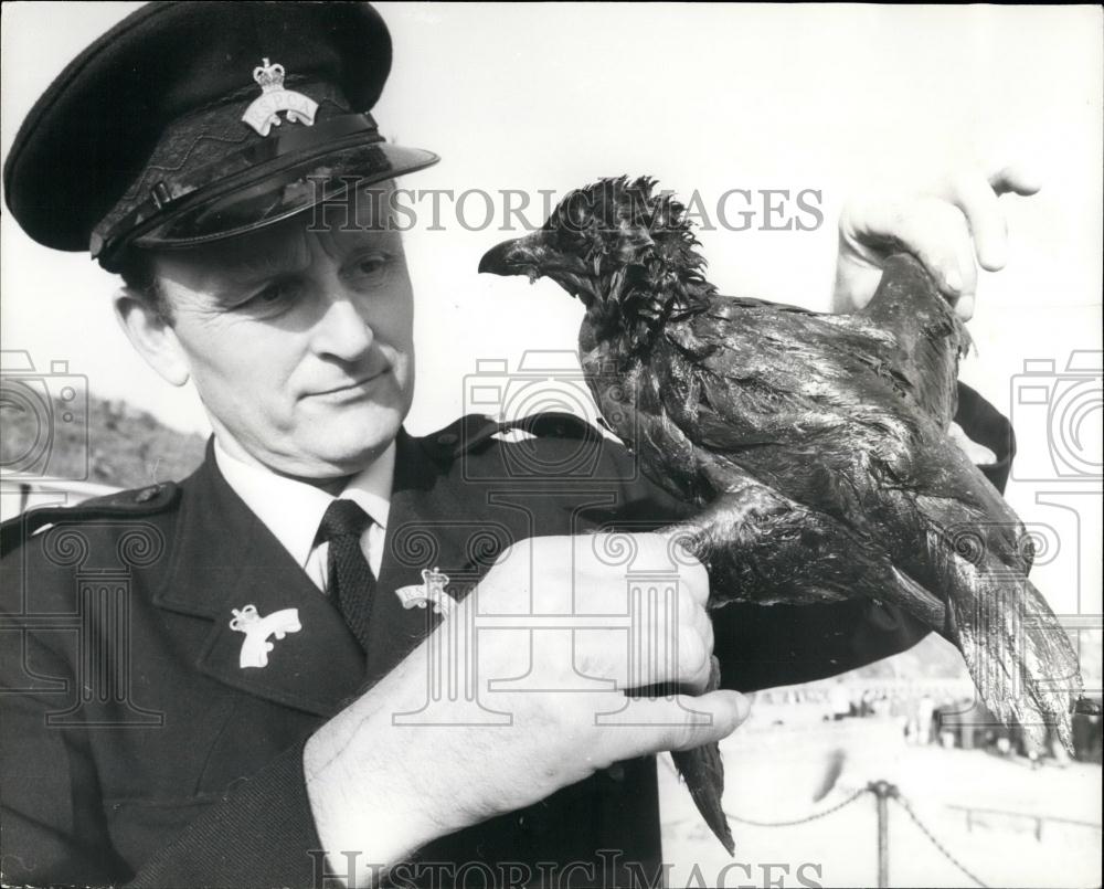 1975 Press Photo Oil Hits Kent Beaches,bird rescues - Historic Images