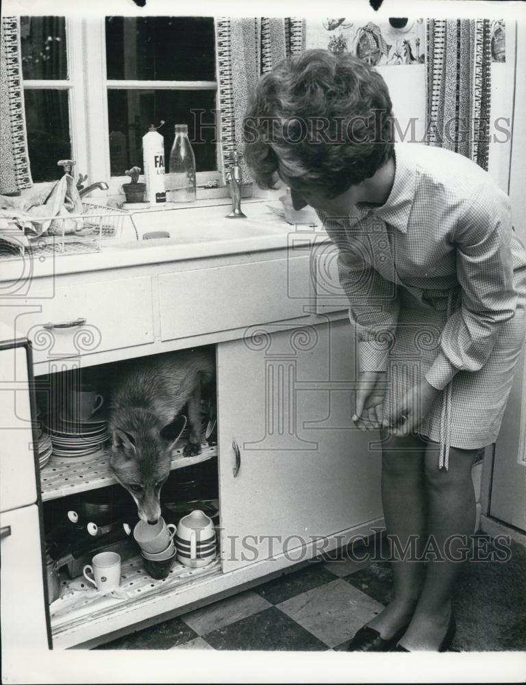 Press Photo Woman finds dog in her cabinet - Historic Images