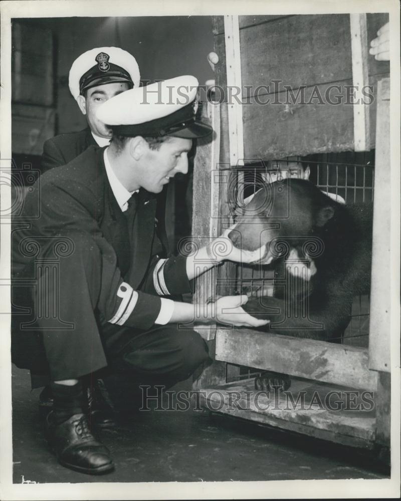 Press Photo British Aircraft Carrier returns to Falmouth - Historic Images