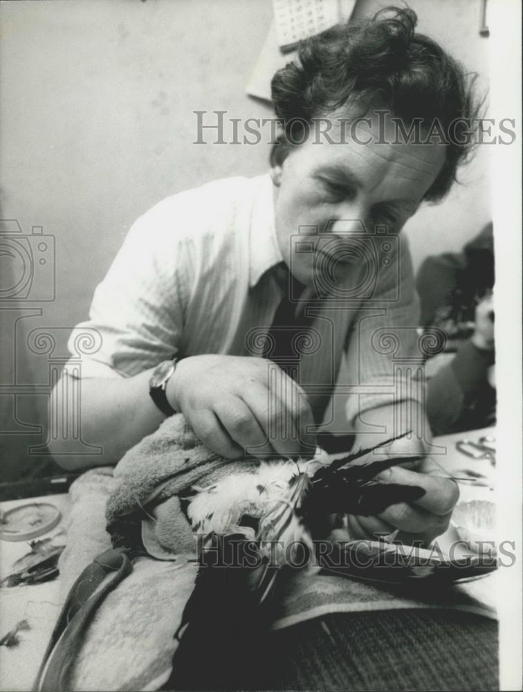 Press Photo Medusa the Honey Buzzard getting a feather transplant - Historic Images