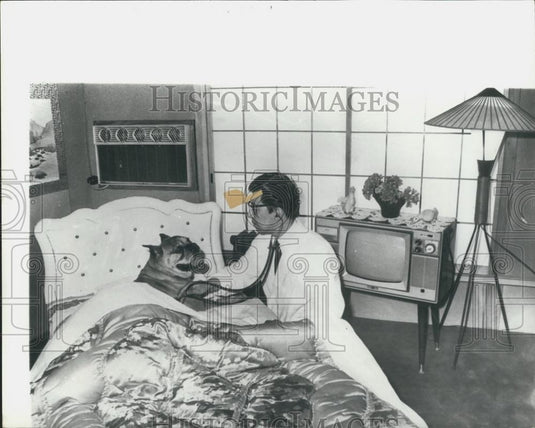 1978 Press Photo Banjo", the boxer, at pet hotel - Historic Images
