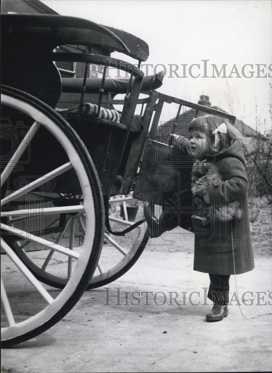 Press Photo Velma Faulkner & Toy Pomeranians dog - Historic Images