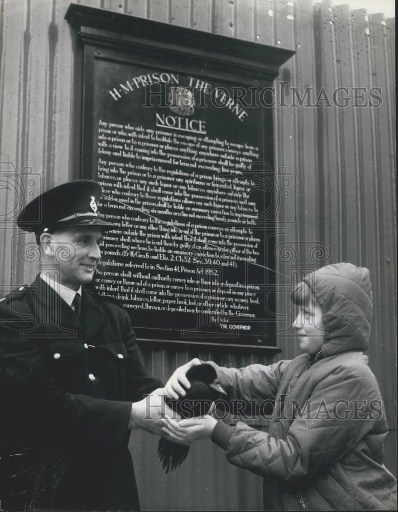 Press Photo Little Girl Hands Oiled Up Duck Found on Chessil Beach to Officer - Historic Images