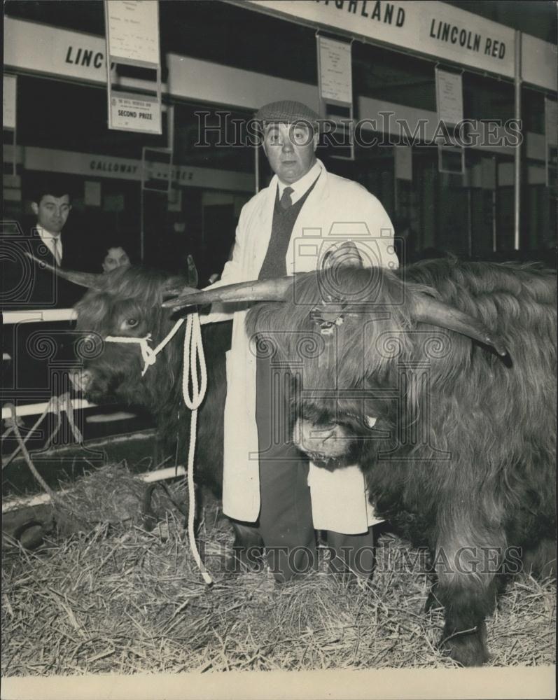 1966 Press Photo Steerman Harry Robbins, holds two highland steers - Historic Images