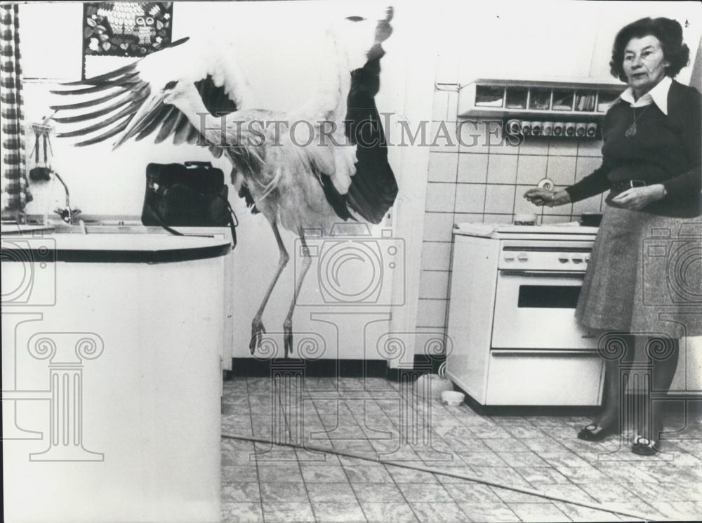 1976 Press Photo Veterinary Dr. Wulf Hansen and his wife Eva pet stork - Historic Images