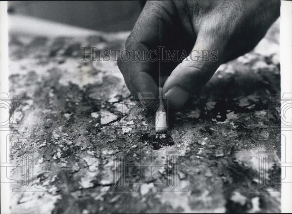 Press Photo Mr.Mann Stubs Out his Cigarette on One of his Cellulose Paintings - Historic Images