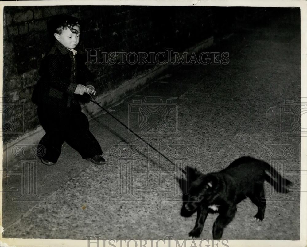 1954 Press Photo David Baldwin with Prince his puppy - Historic Images