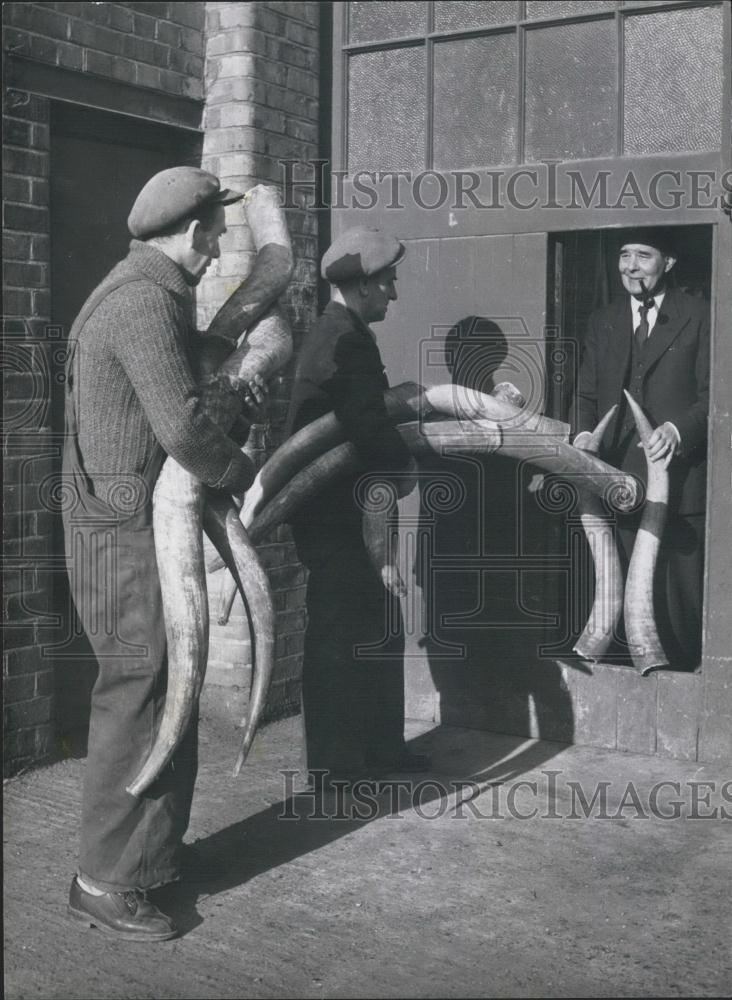 Press Photo Arthur Manning, Nigerian Horns - Historic Images