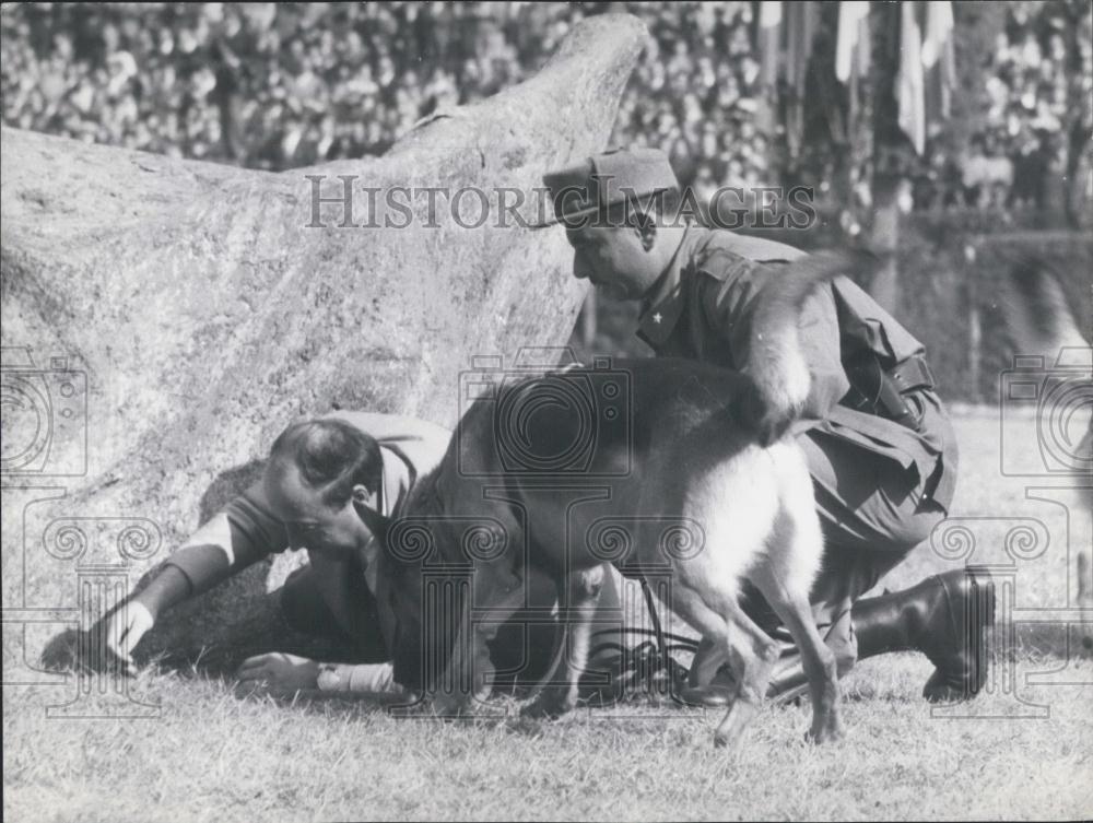 1963 Press Photo Italian Police and their police dogs - Historic Images